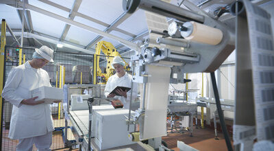 Worker packing boxes in dairy